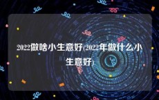 2022做啥小生意好(2022年做什么小生意好)