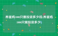 养蛋鸡1000只要投资多少钱(养蛋鸡1000只需投资多少)