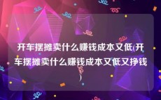 开车摆摊卖什么赚钱成本又低(开车摆摊卖什么赚钱成本又低又挣钱)