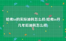 哈弗h6的实际油耗怎么样(哈弗h6开几年后油耗怎么样)