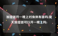 加湿器开一晚上对身体有害吗(夏天加湿器可以开一晚上吗)