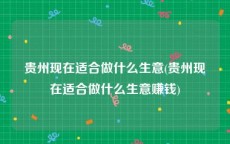 贵州现在适合做什么生意(贵州现在适合做什么生意赚钱)