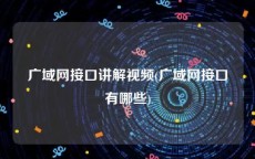 广域网接口讲解视频(广域网接口有哪些)