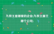 九牧王是哪里的企业(九牧王属于哪个公司)