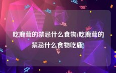 吃鹿茸的禁忌什么食物(吃鹿茸的禁忌什么食物吃鹿)