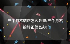 三个月不转正怎么处理(三个月不给转正怎么办)