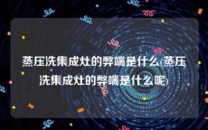 蒸压洗集成灶的弊端是什么(蒸压洗集成灶的弊端是什么呢)