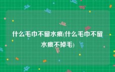 什么毛巾不留水痕(什么毛巾不留水痕不掉毛)