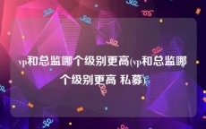 vp和总监哪个级别更高(vp和总监哪个级别更高 私募)