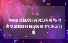 中央空调制冷只有风没有冷气(中央空调制冷只有风没有冷气怎么回事)