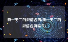 独一无二的微信名男(独一无二的微信名男霸气)