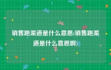 销售跑渠道是什么意思(销售跑渠道是什么意思啊)