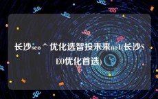 长沙seo^优化选智投未来no1(长沙SEO优化首选)