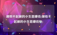 哪些不起眼的小生意赚钱(哪些不起眼的小生意赚钱快)