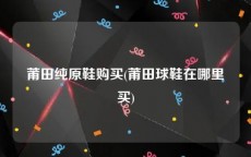 莆田纯原鞋购买(莆田球鞋在哪里买)