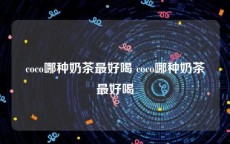 coco哪种奶茶最好喝 coco哪种奶茶最好喝