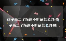孩子高二了叛逆不听话怎么办(孩子高二了叛逆不听话怎么办呢)