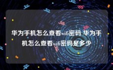 华为手机怎么查看wifi密码 华为手机怎么查看wifi密码是多少
