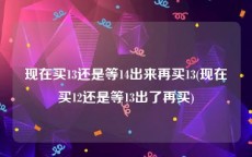 现在买13还是等14出来再买13(现在买12还是等13出了再买)