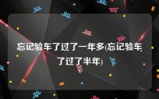 忘记验车了过了一年多(忘记验车了过了半年)