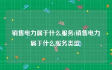 销售电力属于什么服务(销售电力属于什么服务类型)