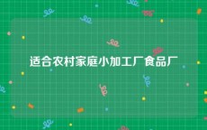 适合农村家庭小加工厂食品厂
