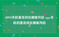 OPPO手机麦克风在哪里开启 oppo手机的麦克风在哪里开启