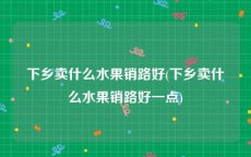 下乡卖什么水果销路好(下乡卖什么水果销路好一点)