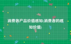 消费者产品价值感知(消费者的感知价值)