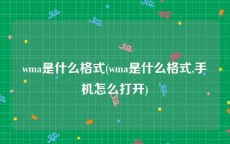 wma是什么格式(wma是什么格式,手机怎么打开)