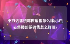 小白去售楼部做销售怎么样(小白去售楼部做销售怎么样呢)
