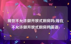 现在不允许做开放式厨房吗(现在不允许做开放式厨房吗英语)