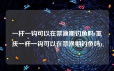 一杆一钩可以在禁渔期钓鱼吗(重庆一杆一钩可以在禁渔期钓鱼吗)
