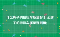 什么牌子的扭扭车质量好(什么牌子的扭扭车质量好耐用)