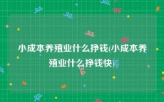 小成本养殖业什么挣钱(小成本养殖业什么挣钱快)