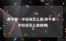 养牛第一步应该怎么做(养牛第一步应该怎么做视频)