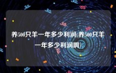 养500只羊一年多少利润(养500只羊一年多少利润啊)