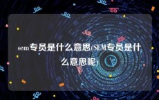 sem专员是什么意思(SEM专员是什么意思呢)