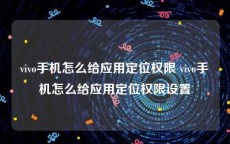 vivo手机怎么给应用定位权限 vivo手机怎么给应用定位权限设置