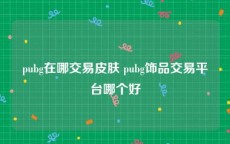 pubg在哪交易皮肤 pubg饰品交易平台哪个好
