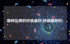 哪种品牌的炒锅最好(炒锅哪种好)