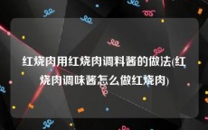 红烧肉用红烧肉调料酱的做法(红烧肉调味酱怎么做红烧肉)
