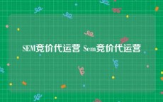 SEM竞价代运营 Sem竞价代运营