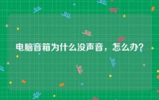 电脑音箱为什么没声音，怎么办？