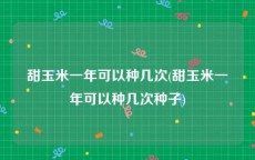甜玉米一年可以种几次(甜玉米一年可以种几次种子)