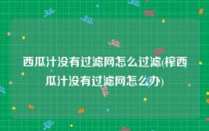 西瓜汁没有过滤网怎么过滤(榨西瓜汁没有过滤网怎么办)