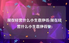 现在经营什么小生意挣钱(现在经营什么小生意挣钱快)