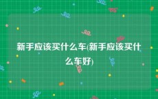新手应该买什么车(新手应该买什么车好)