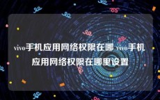 vivo手机应用网络权限在哪 vivo手机应用网络权限在哪里设置