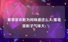 索菲亚衣柜为何味道这么大(索菲亚柜子气味大)